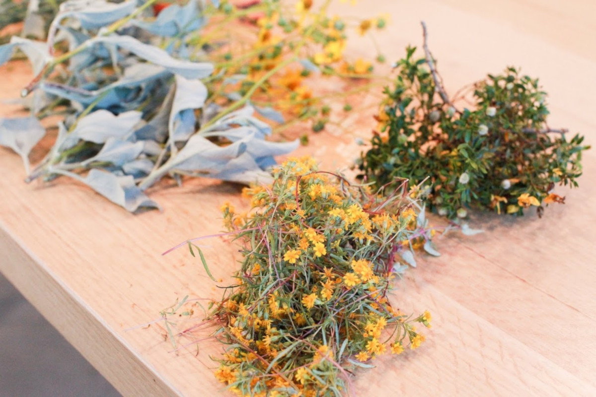 Dried herbs on a table